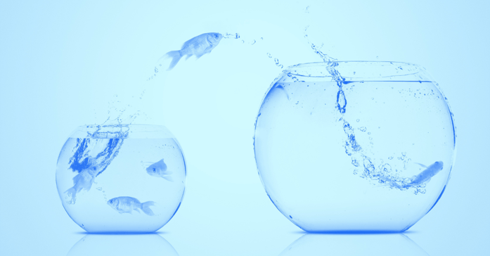 Fish leaping from a small bowl to a larger bowl.