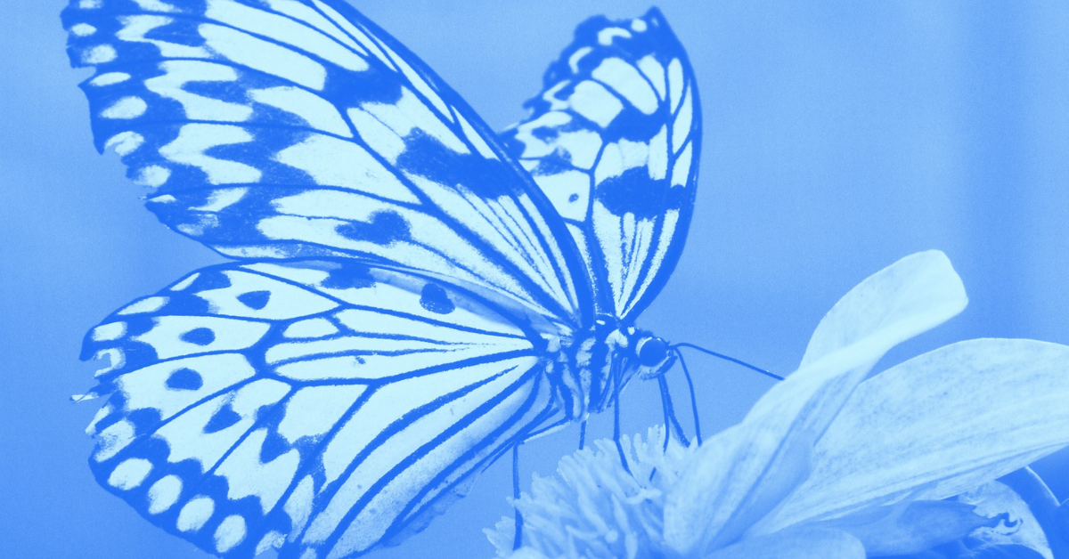 The Butterfly Effect: Getting A Client 4 Years Later